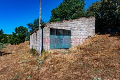Villa a Pinhel, Guarda, Pinhel - € 200.000 | Ref: CAS_2282 - foto 23