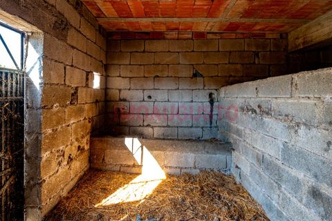 Villa a Pinhel, Guarda, Pinhel - € 200.000 | Ref: CAS_2282 - foto 26