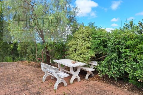 Villa a Abrantes, Santarem, Abrantes - € 500.000 | Ref: P4HCAS_283 - foto 26