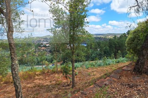 Villa a Abrantes, Santarem, Abrantes - € 500.000 | Ref: P4HCAS_283 - foto 28