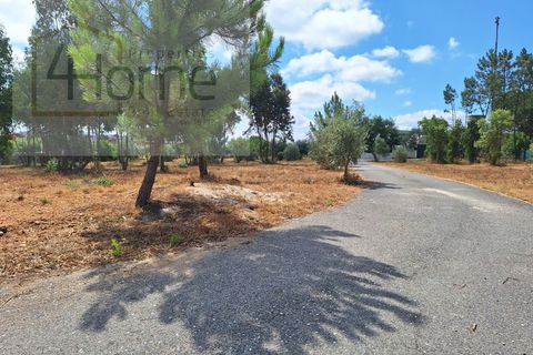 Villa a Abrantes, Santarem, Abrantes - € 500.000 | Ref: P4HCAS_283 - foto 34