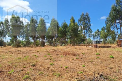 Villa a Abrantes, Santarem, Abrantes - € 500.000 | Ref: P4HCAS_283 - foto 35