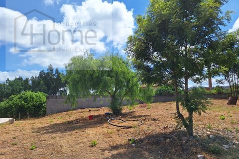 Villa a Abrantes, Santarem, Abrantes - € 500.000 | Ref: P4HCAS_283 - foto 36