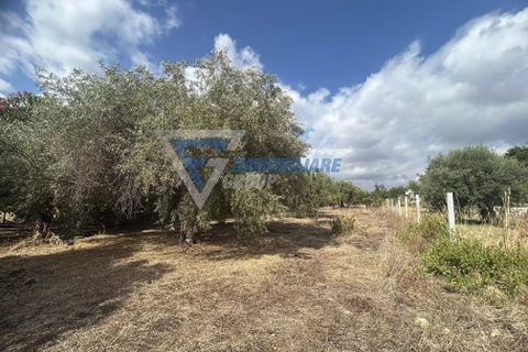 Villa i Siracusa, Siracusa, Siracusa - € 100.000 | Ref: sr vcam 82 - foto 2