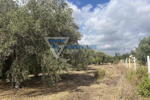 Villa i Siracusa, Siracusa, Siracusa - € 100.000 | Ref: sr vcam 82 - foto 3