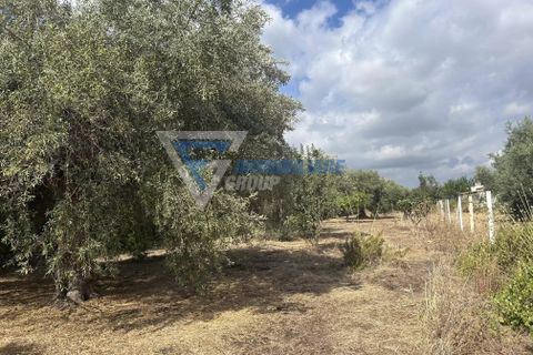 Villa i Siracusa, Siracusa, Siracusa - € 100.000 | Ref: sr vcam 82 - foto 4