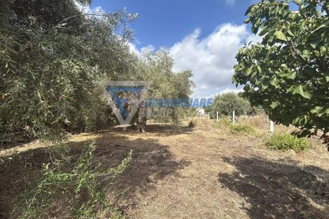 Villa i Siracusa, Siracusa, Siracusa - € 100.000 | Ref: sr vcam 82 - foto 6