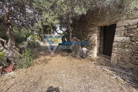 Villa i Siracusa, Siracusa, Siracusa - € 100.000 | Ref: sr vcam 82 - foto 16
