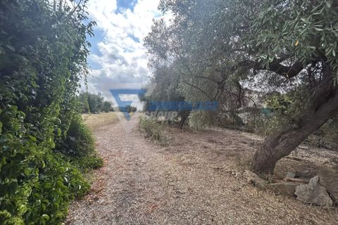 Villa i Siracusa, Siracusa, Siracusa - € 100.000 | Ref: sr vcam 82 - foto 17