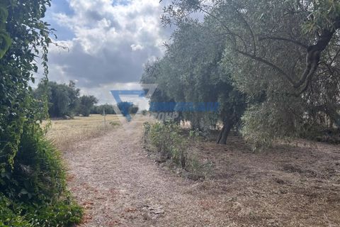Villa i Siracusa, Siracusa, Siracusa - € 100.000 | Ref: sr vcam 82 - foto 18