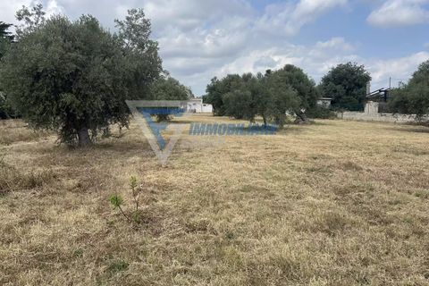 Villa i Siracusa, Siracusa, Siracusa - € 100.000 | Ref: sr vcam 82 - foto 36