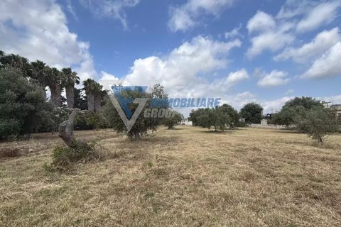 Villa i Siracusa, Siracusa, Siracusa - € 100.000 | Ref: sr vcam 82 - foto 39