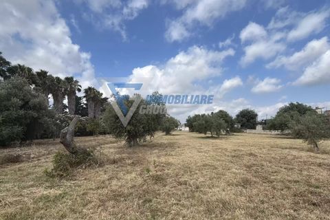 Villa i Siracusa, Siracusa, Siracusa - € 100.000 | Ref: sr vcam 82 - foto 40