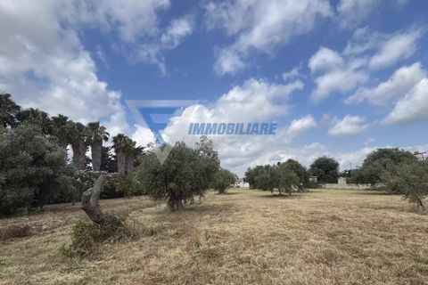 Villa i Siracusa, Siracusa, Siracusa - € 100.000 | Ref: sr vcam 82 - foto 41
