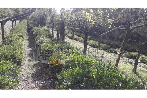 Tomt i Vila do Conde, Porto, Vila do Conde - € 182 000 | Ref: PC_11677 - foto 19