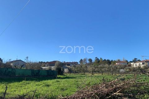 Villa i Viseu, Viseu, Viseu - € 310.000 | Ref: ZMPT575729 - foto 11