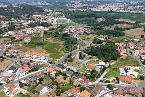 Helårsgrund i Agueda, Aveiro, Agueda - € 22.000 | Ref: ZMPT578915 - foto 12