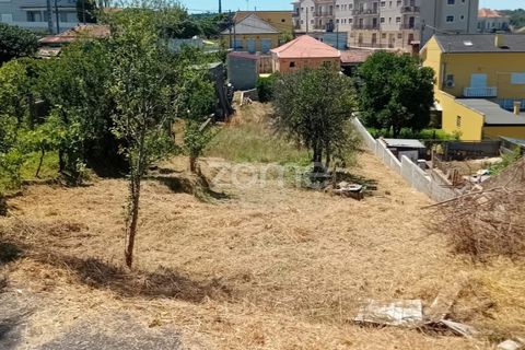 Helårsgrund i Agueda, Aveiro, Agueda - € 22.000 | Ref: ZMPT578915 - foto 8