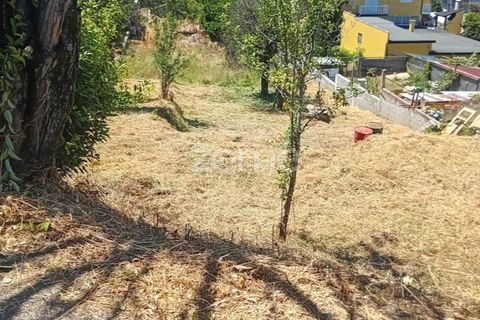 Helårsgrund i Agueda, Aveiro, Agueda - € 22.000 | Ref: ZMPT578915 - foto 9