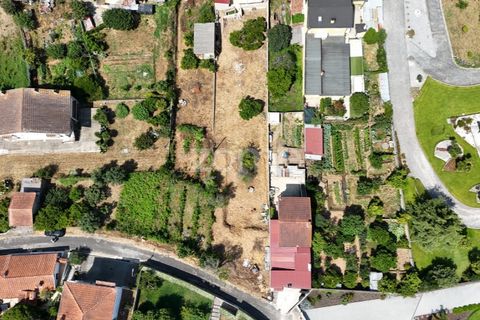 Helårsgrund i Agueda, Aveiro, Agueda - € 22.000 | Ref: ZMPT578915 - foto 11