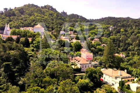 Villa i Sintra, Lisbon, Sintra - € 3.900.000 | Ref: 2536 EA - foto 33
