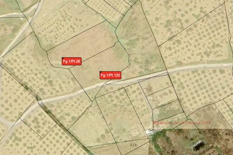 Helårsgrund i Ribera, Agrigento, Ribera - € 8.000 | Ref: T/215 - foto 2