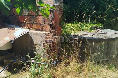 Villa i Viseu, Viseu, Viseu - € 58.000 | Ref: ZMPT578747 - foto 11