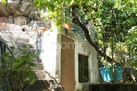 Villa a Celorico da Beira, Guarda, Celorico da Beira - € 135.000 | Ref: ZMPT578875 - foto 30