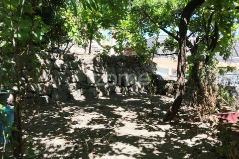 Villa a Celorico da Beira, Guarda, Celorico da Beira - € 135.000 | Ref: ZMPT578875 - foto 33