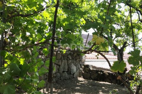 Villa a Celorico da Beira, Guarda, Celorico da Beira - € 135.000 | Ref: ZMPT578875 - foto 34