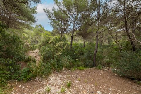 Helårsgrund i Capdepera, Mallorca, Capdepera - € 750.000 | Ref: ART0663 - foto 3