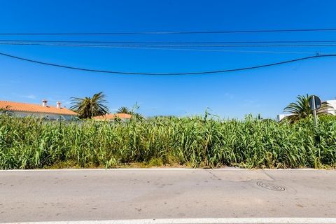 Terra a Vinaros, Castellon, Vinaros - € 2.000.000 | Ref: SP4670 - foto 4