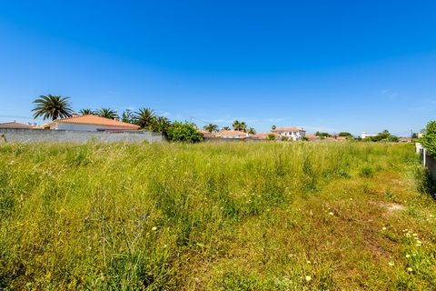Terra a Vinaros, Castellon, Vinaros - € 2.000.000 | Ref: SP4670 - foto 5