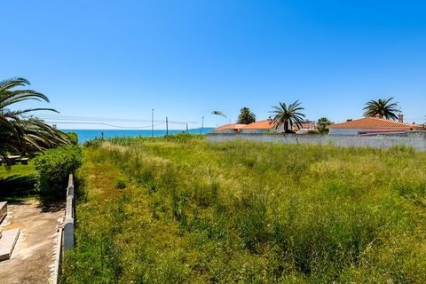 Terra a Vinaros, Castellon, Vinaros - € 2.000.000 | Ref: SP4670 - foto 6
