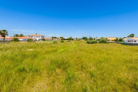 Terra a Vinaros, Castellon, Vinaros - € 2.000.000 | Ref: SP4670 - foto 7