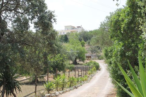 Villa i Loule, Faro, Loule - € 1.295.000 | Ref: 1031-2373 - foto 3