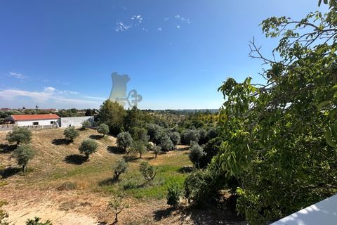 Villa in Tomar, Santarem, Tomar - € 350.000 | Ref: TAM_586 - foto 37