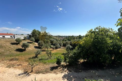 Villa in Tomar, Santarem, Tomar - € 350.000 | Ref: TAM_586 - foto 40