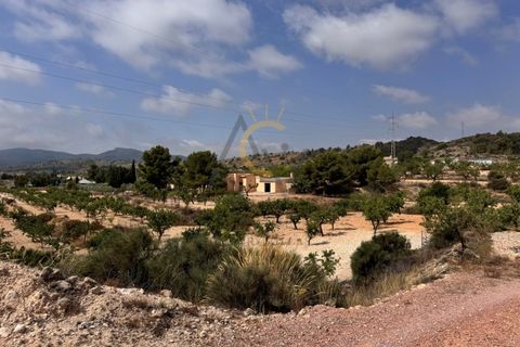 Villa i Monovar, Alicante, Monovar - € 249.995 | Ref: DNV0587 - foto 29