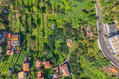 Helårsgrund i Machico, Madeira, Machico - € 360.000 | Ref: 11816-FS - foto 4