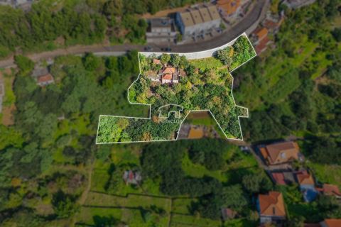 Helårsgrund i Machico, Madeira, Machico - € 360.000 | Ref: 11816-FS - foto 5