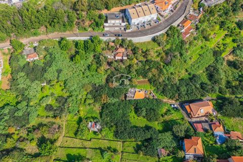 Helårsgrund i Machico, Madeira, Machico - € 360.000 | Ref: 11816-FS - foto 6