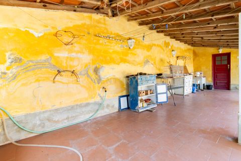 Farm hus i Alcobaca, Leiria, Alcobaca - € 998.000 | Ref: 0563-01831 - foto 13
