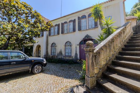 Farm hus i Alcobaca, Leiria, Alcobaca - € 998.000 | Ref: 0563-01831 - foto 15