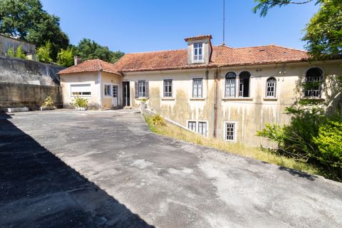 Farm hus i Alcobaca, Leiria, Alcobaca - € 998.000 | Ref: 0563-01831 - foto 20