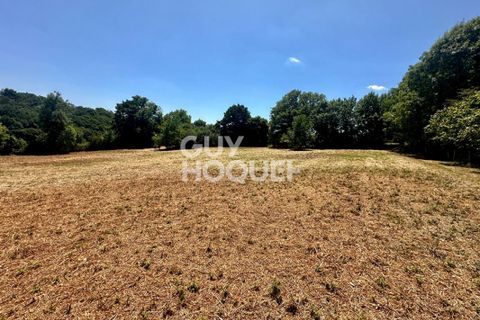 Helårsgrund i Mervent, Vendee, Mervent - € 59.500 | Ref: 6607 - foto 2
