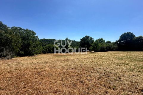Helårsgrund i Mervent, Vendee, Mervent - € 59.500 | Ref: 6607 - foto 3