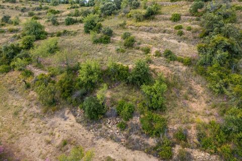 Tomt i Conceicao e Estoi, Faro, Conceicao e Estoi - € 170 000 | Ref: KWPT-016991 - foto 14