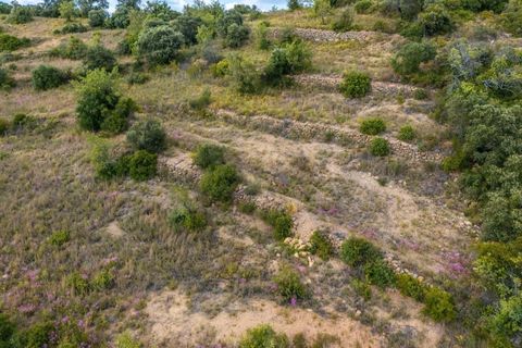 Tomt i Conceicao e Estoi, Faro, Conceicao e Estoi - € 170 000 | Ref: KWPT-016991 - foto 15