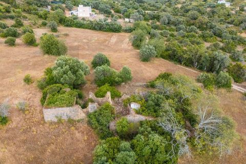Tomt i Conceicao e Estoi, Faro, Conceicao e Estoi - € 170 000 | Ref: KWPT-016991 - foto 26